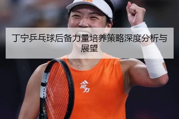 丁宁乒乓球后备力量培养策略深度分析与展望