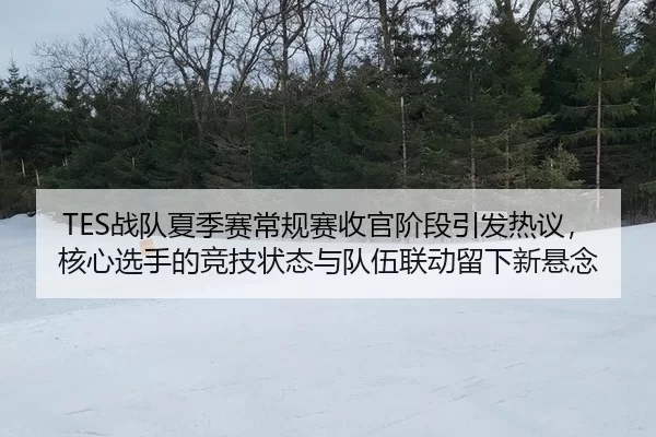 TES战队夏季赛常规赛收官阶段引发热议，核心选手的竞技状态与队伍联动留下新悬念